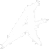 Akriila