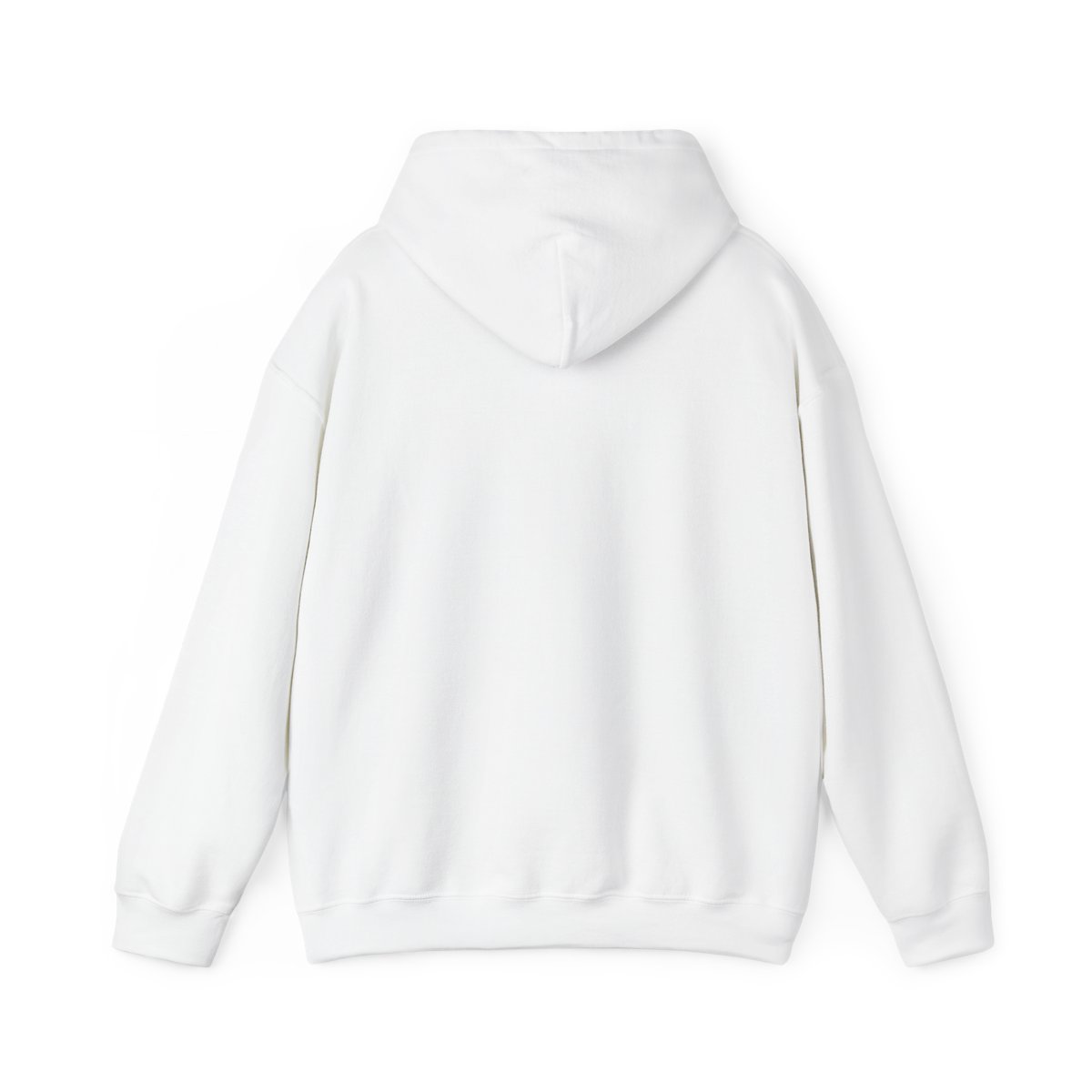 Akriila "Akriila: 2024 Debut" Hoodie - alternate angle 1, merchandise
